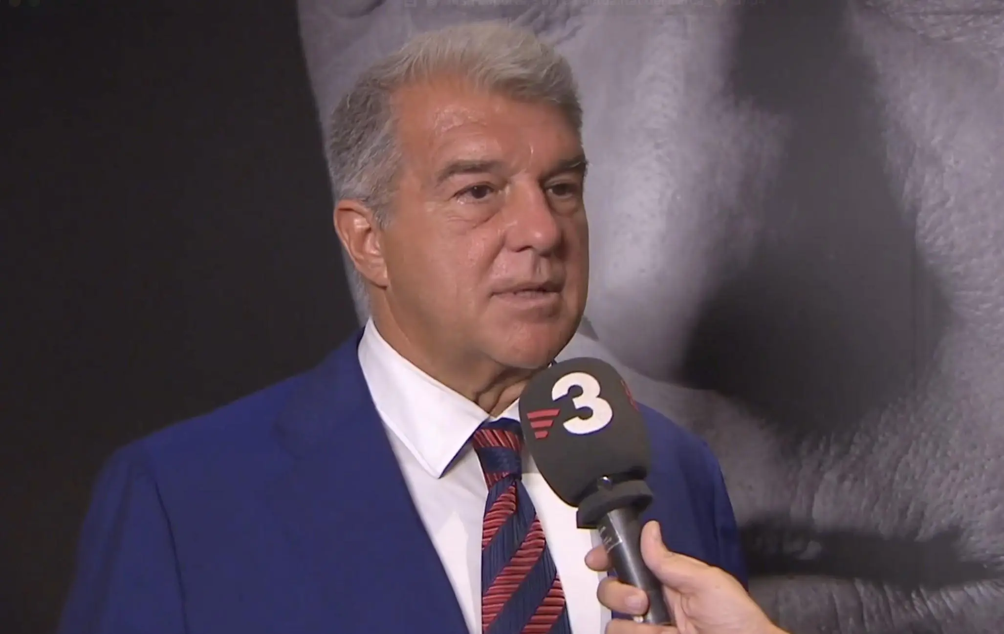 是专业的呢, amp 是专业的呢, amp